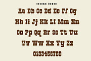 Boot Scootin' Western Font Duo, a Script Font by Loudoun Design Co. (Thumbnail 3 of 10)