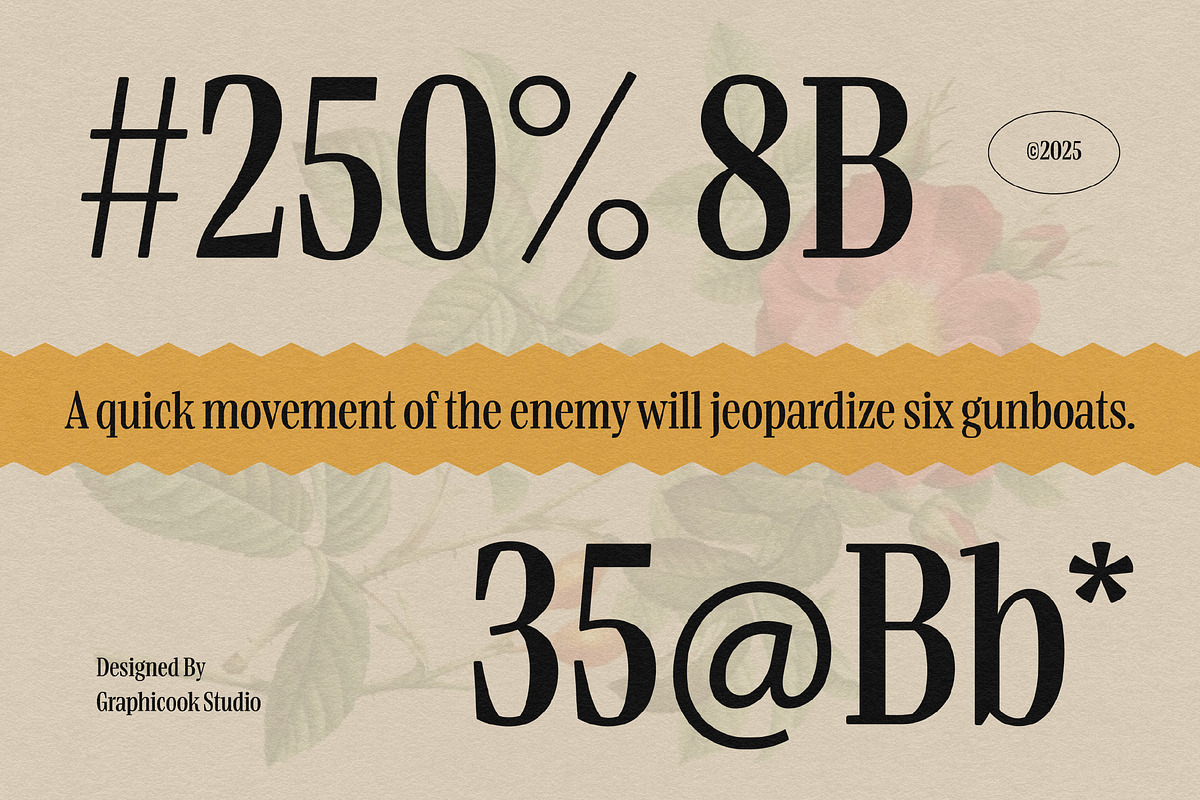 Boldentia, a Serif Font by graphicook (Photo 6 of 10)