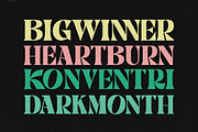 Pionel, a Serif Font by Fontastic (Thumbnail 2 of 10)