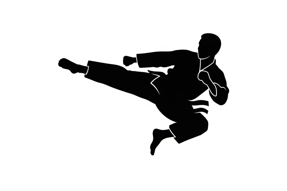 Dynamic martial arts kick silhouette, an Illustration by Amazin_art (Photo 35 of 36)