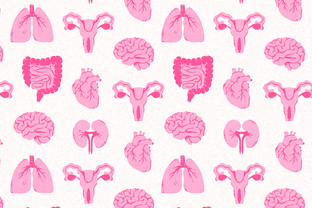 Internal organs, a Healthcare Illustration by Twisted Tail (Photo 2 of 4)
