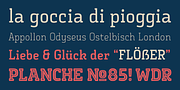 Vivala Slab, a Slab Serif Font by VivalaType (Thumbnail 3 of 9)
