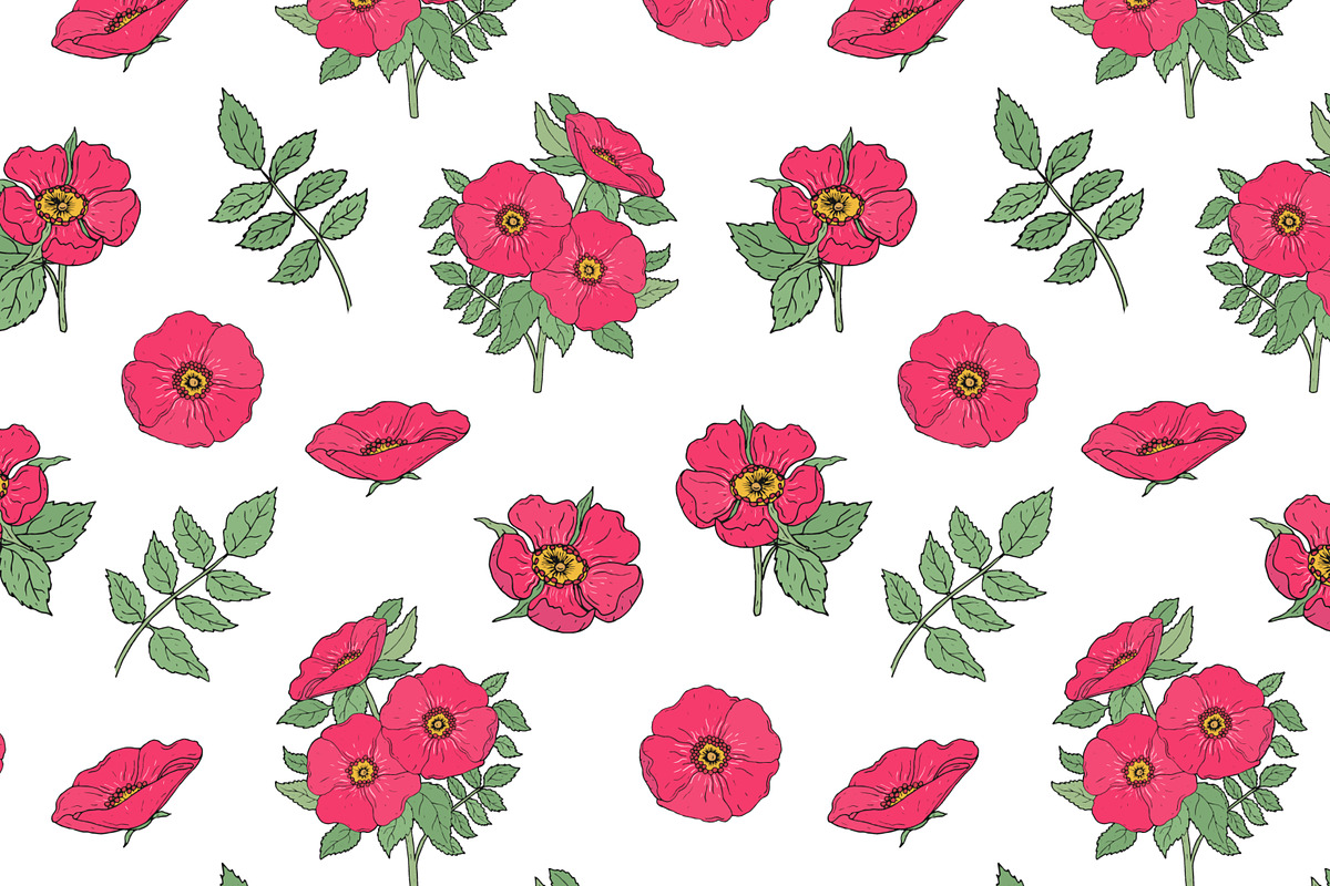 Dog-roses set and seamless pattern, a Decorative Illustration by Good Studio (Photo 6 of 9)