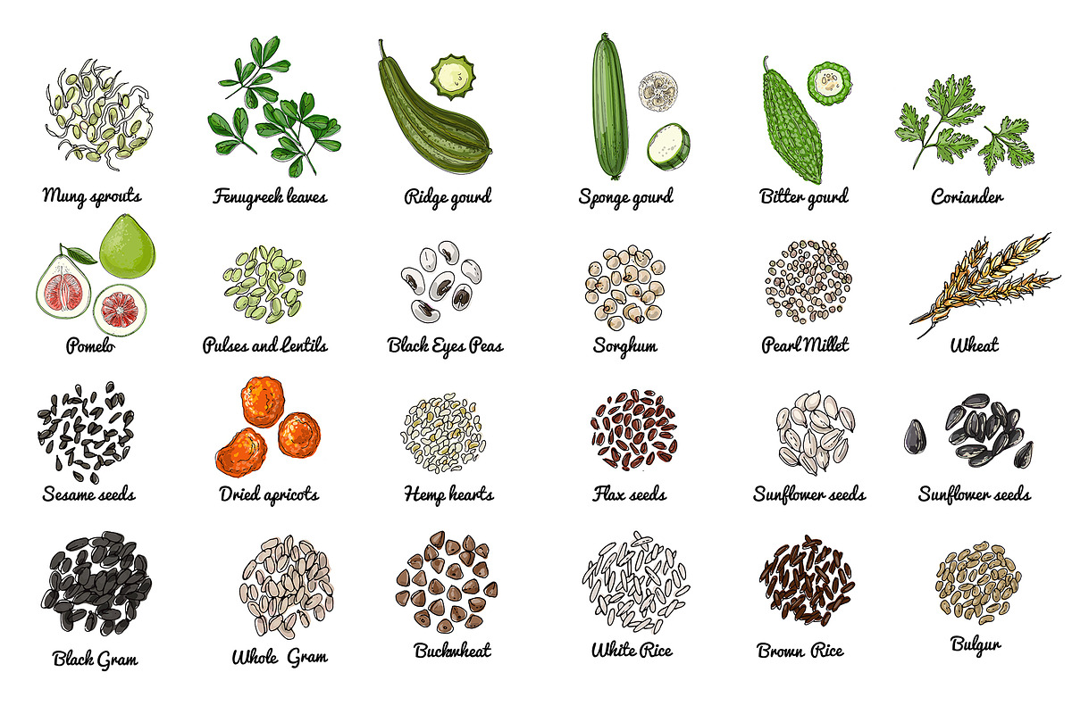 Vector food icons. Spices, nuts, a Food Illustration by irina.vaneeva (Photo 3 of 5)