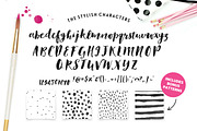 Stylish Brush with Bonus, a Handwritten Font by Nicky Laatz (Thumbnail 5 of 5)