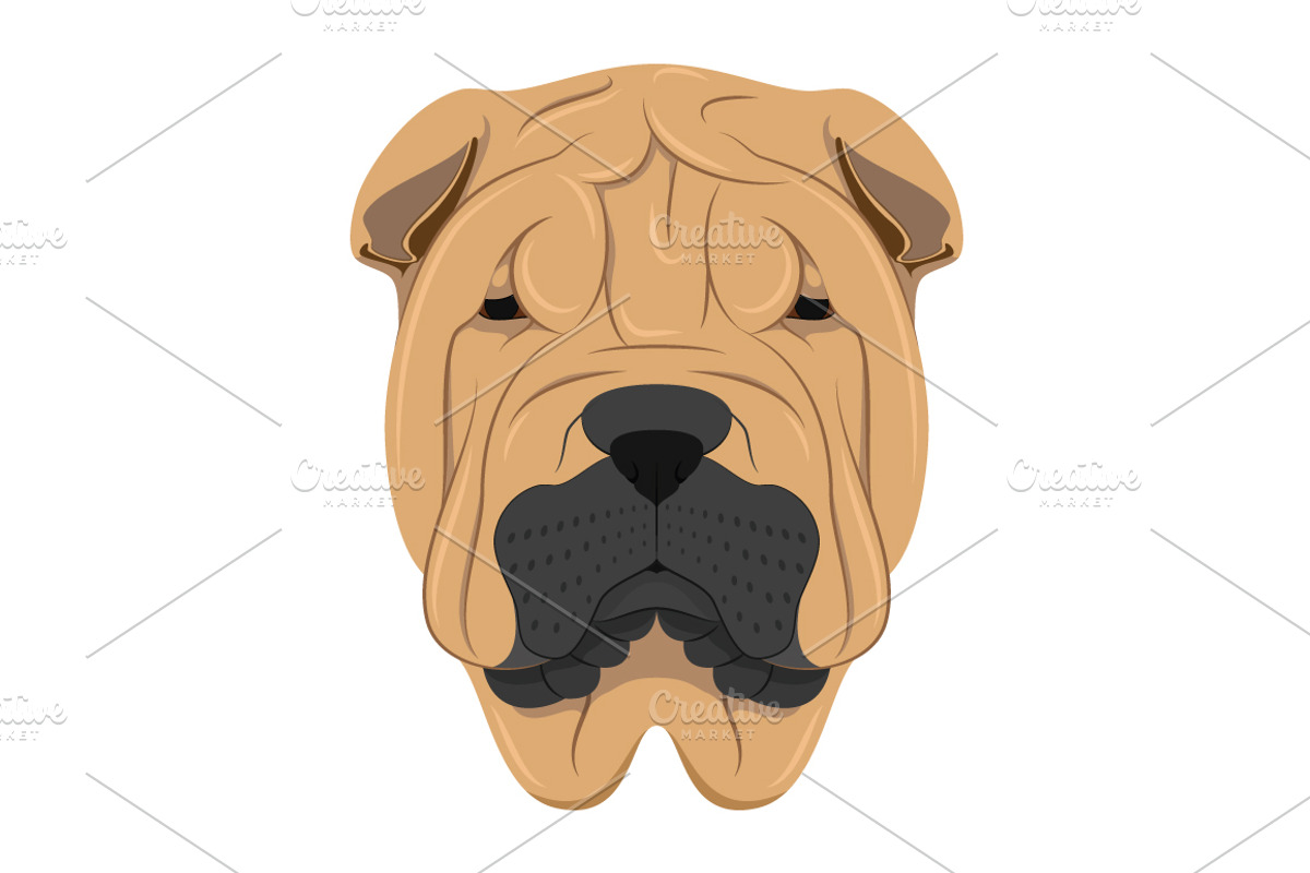 30x Dog breeds Set 2, an Animal Illustration by asantosg (Photo 7 of 7)