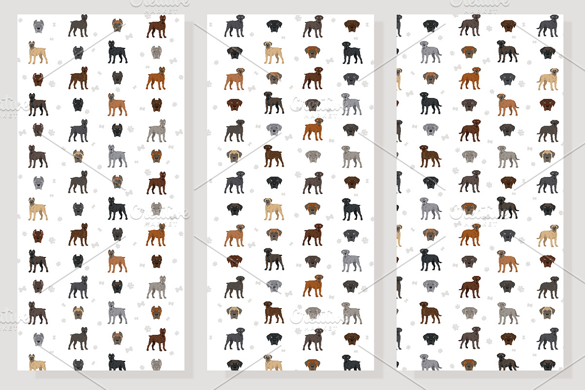 Cane Corso dog clip art, an Animal Illustration by pet design shop (Photo 9 of 9)