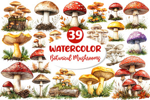 Botanical Autumn Mushrooms Clipart, an Illustration by Dream Creation