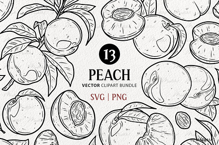 Peach SVG Clipart Fruit Set, a Food Illustration by MadliArt