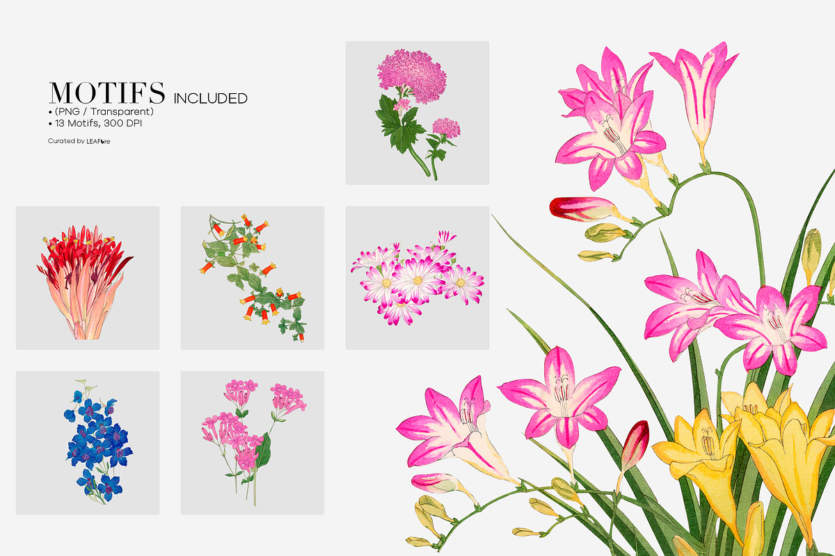 Vibrant Seamless Floral Patterns, a Pattern Graphic by LEAFure (Photo 8 of 10)