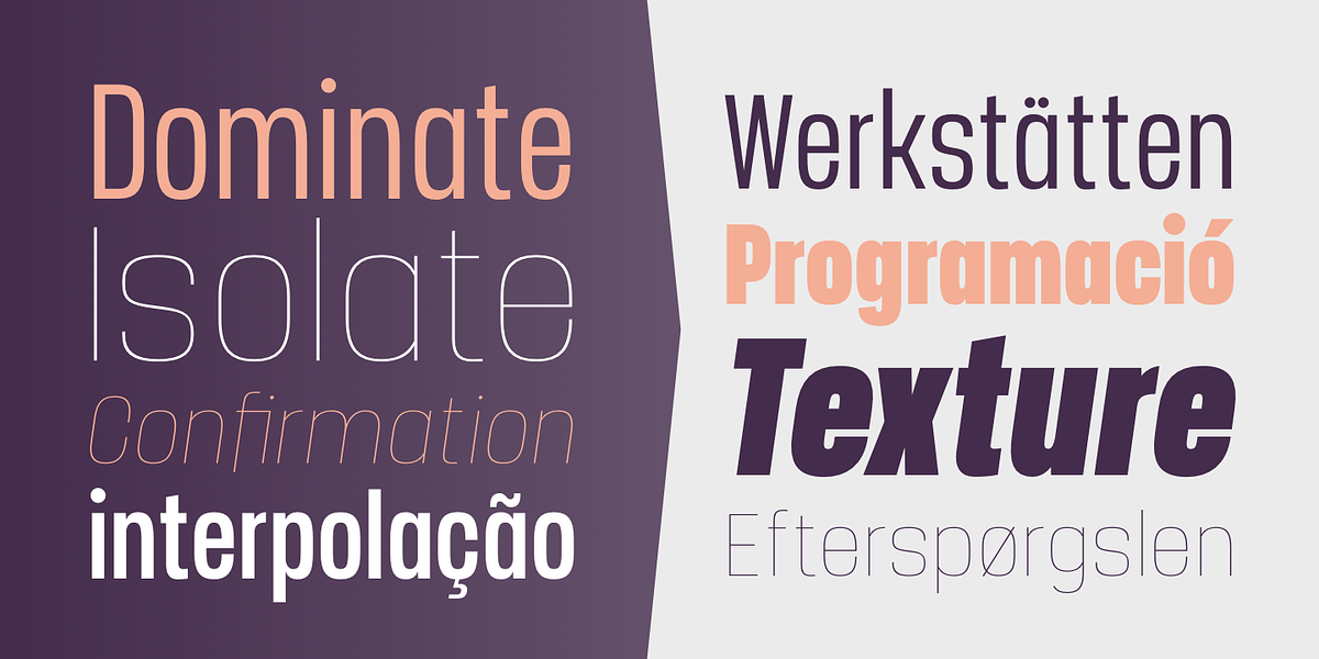 Manual, a Sans Serif Font by TypeUnion (Photo 5 of 16)