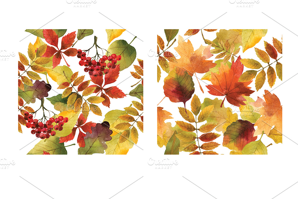 Watercolor autumn leaves, an Illustration by lenlis (Photo 5 of 5)