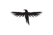 Black raven crow body and wings., an Object Graphic by DeShoff Art (Thumbnail 6 of 8)
