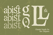 Rustcut - Serif Font, a Serif Font by Lettermine (Thumbnail 9 of 10)