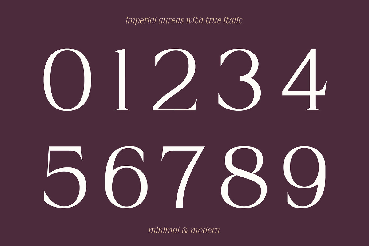 Imperial Aureas a Minimal Serif, a Serif Font by Lettertype Studio (Photo 13 of 16)