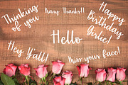 Sentiments - A Handlettered font, a Script Font by lillie belles designs (Thumbnail 4 of 5)