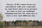 Garis - Nostalgic Serif Font, a Serif Font by Typeformers (Thumbnail 5 of 5)
