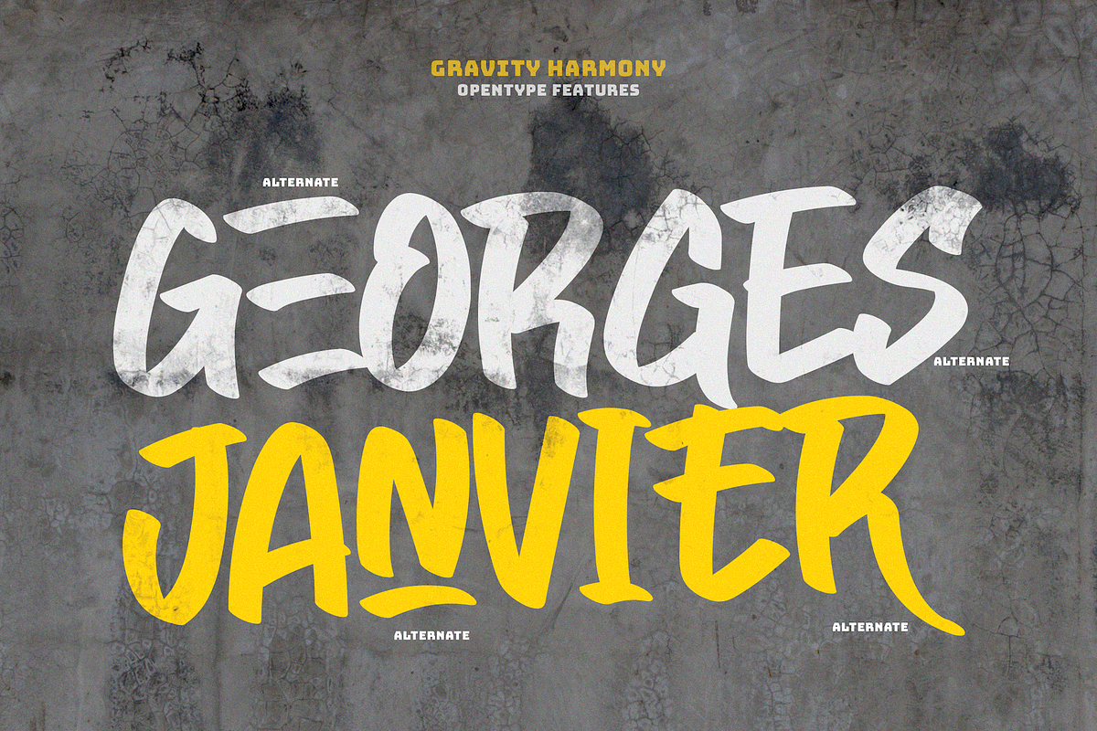Gravity Harmony, a Handwritten Font by themewarrior (Photo 5 of 10)