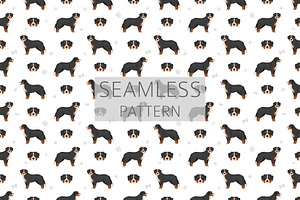 Bernese Mountain Dog Clipart