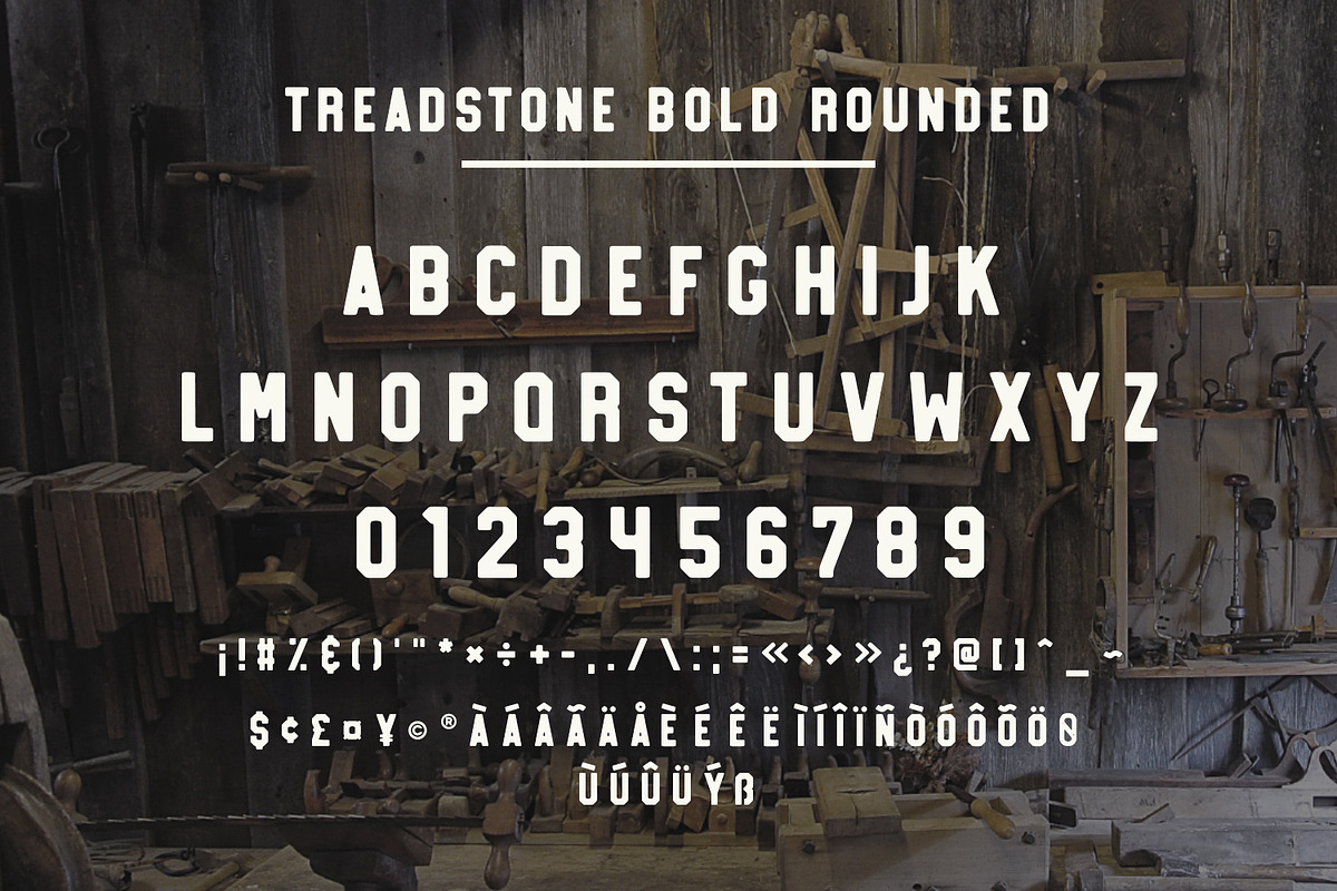 Treadstone - 8 Font Family, a Slab Serif Font by Greg Nicholls (Photo 16 of 16)