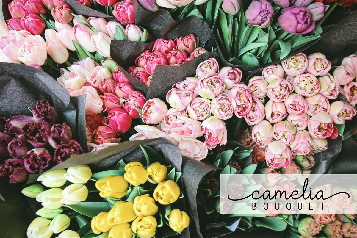 Arkina - Font Duo, a Script Font by Sibelumpagi Studio (Photo 5 of 9)