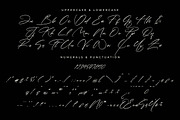 Paradise Stonelife Modern Signature, a Script Font by Letterena Studios Script (Thumbnail 13 of 15)