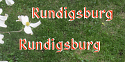 Rundigsburg, a Sans Serif Font by Ingrimayne Type (Thumbnail 1 of 10)
