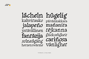 Golden Goose – Italic Infused Serif, a Serif Font by Unio Designs (Thumbnail 4 of 12)