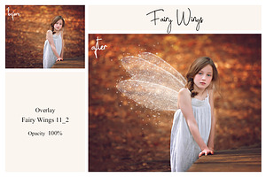 40 Fairy Wings PS Overlays