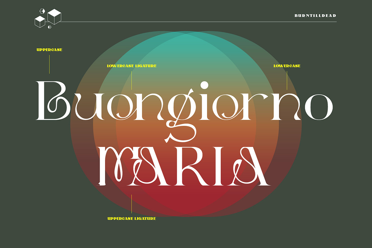 Dellucion, a Serif Font by Burntilldead (Photo 6 of 13)