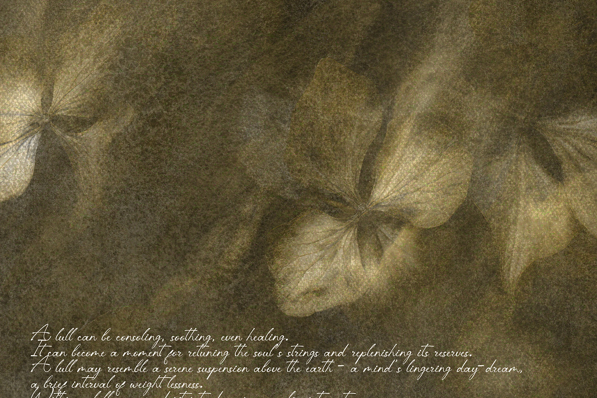 Lull · Brown Botanical Autumn Series, a Background Graphic by alonahaidash (Photo 10 of 16)