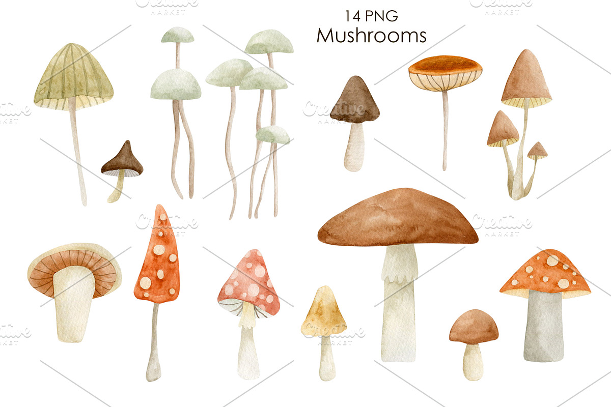 Watercolor autumn collection., a Decorative Illustration by Kira Konoshenko (Photo 3 of 26)