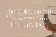 Shefian Modern Serif Font, a Serif Font by Storytype Studio (Thumbnail 10 of 15)