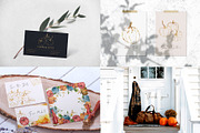 Pumpkins Watercolor pumpkin clipart, a Seasonal Illustration by Yuliya Derbisheva (Thumbnail 11 of 11)