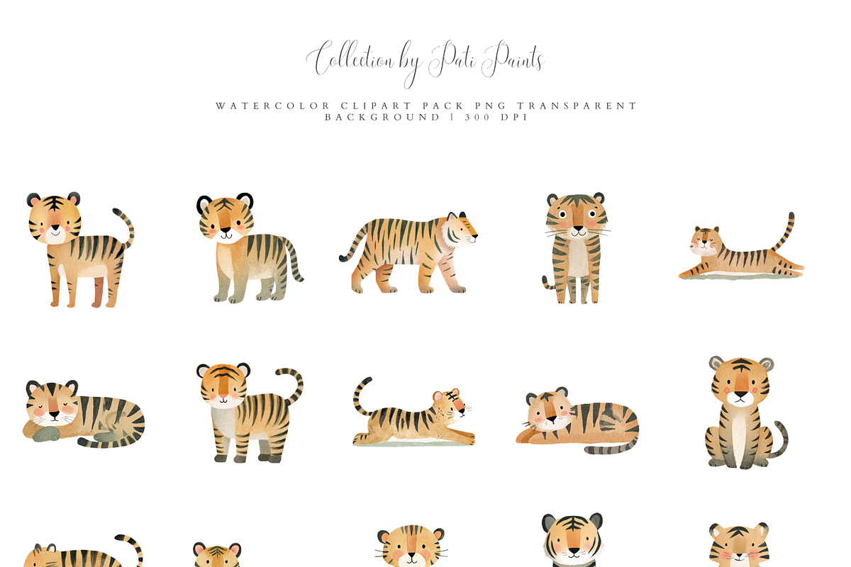 Tiger Clipart Set, a Decorative Illustration by Pati Paints (Photo 2 of 11)