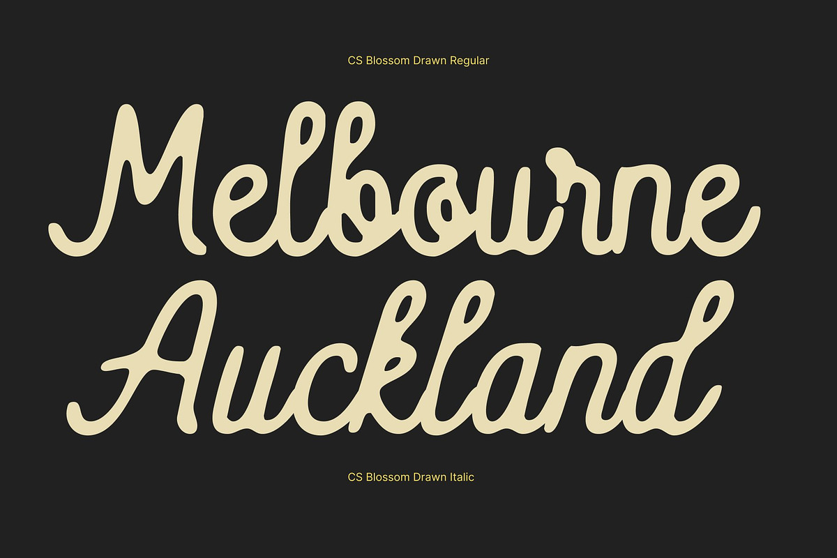CS Blossom Drawn, a Script Font by Craft Supply Co. (Photo 3 of 8)