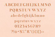 Francois Modern Serif Font, a Serif Font by Fancy Malone (Thumbnail 11 of 12)