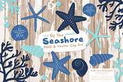 Seashells Clipart in Oceana, an Illustration by Amanda Ilkov (Thumbnail 2 of 5)