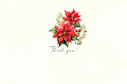 Christmas Poinsettia Bouquets, a Decorative Illustration by Vasmila (Thumbnail 6 of 6)