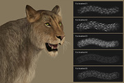 Fur Photoshop Brushes v2, a Brush Add-On by Mohamed Saber (Thumbnail 2 of 6)