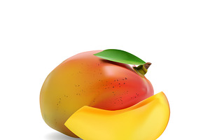 Mango. Realistic vector illustration