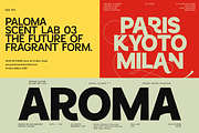 Sansform - Sans Serif Font Family, a Sans Serif Font by VP Fonts (Thumbnail 2 of 19)