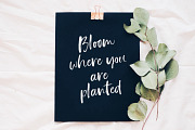 SpringRain SVG watercolor brush font, a Script Font by Angele Kamp (Thumbnail 8 of 9)
