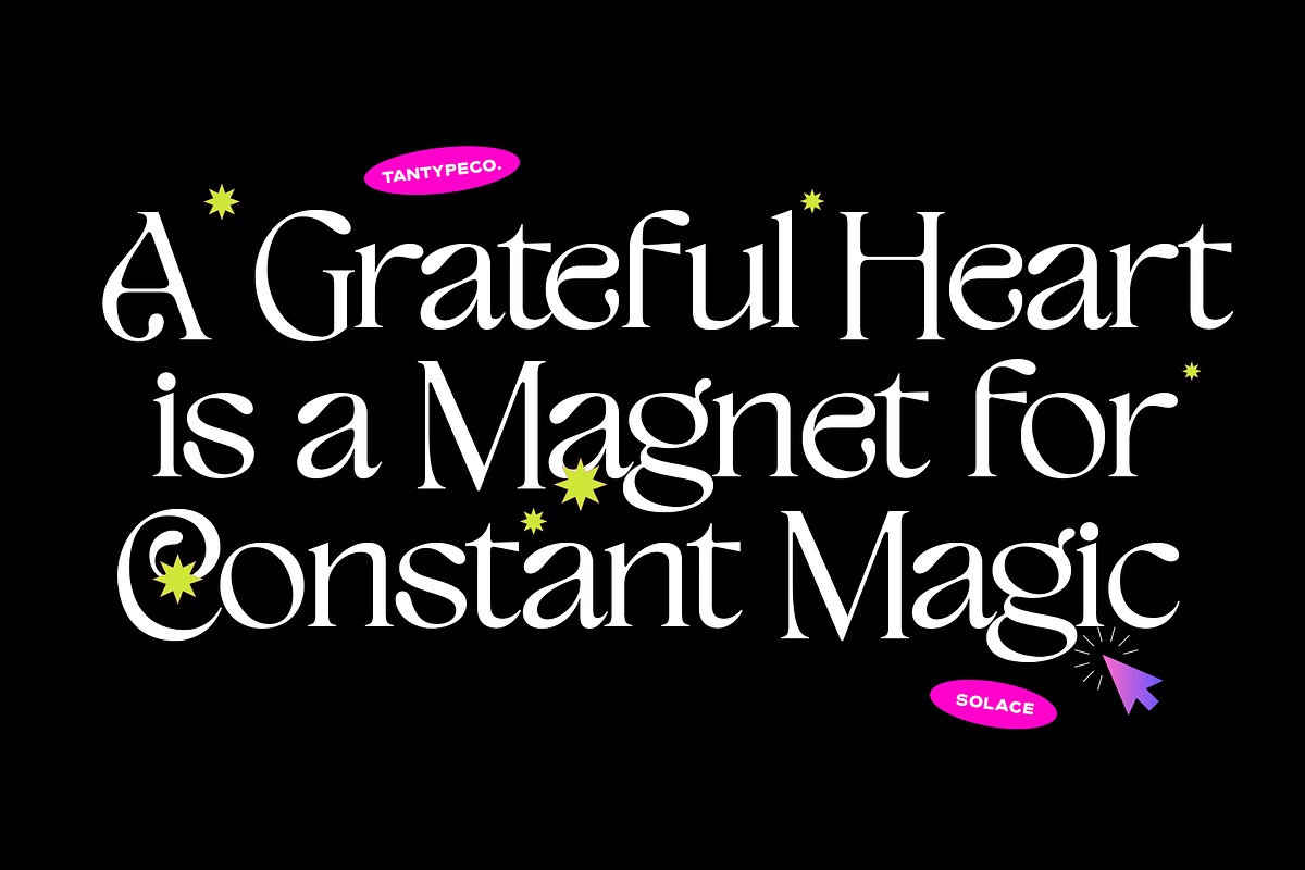 TAN - SOLACE - CLASSIC DISPLAY FONT, a Serif Font by TanType (Photo 8 of 10)