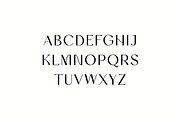 Chia Bianville Elegant Serif Font, a Serif Font by UICreative (Thumbnail 8 of 13)