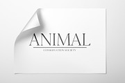 Cammron Serif Font Family, a Serif Font by Creativetacos (Thumbnail 3 of 8)