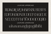 Larovie – Elegant Luxury Cinematic, a Serif Font by Qweera Studio (Thumbnail 11 of 12)