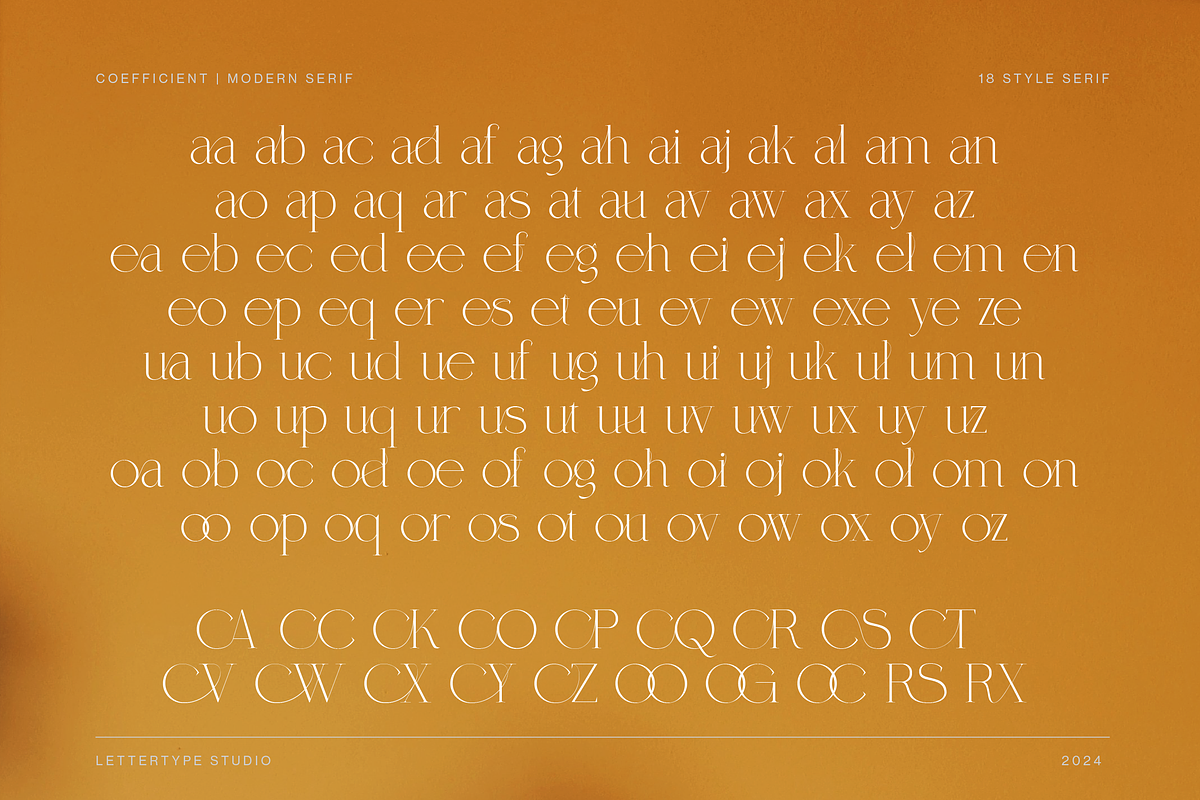 Coefficient Modern & Elegant Serif, a Serif Font by Lettertype Studio (Photo 8 of 18)