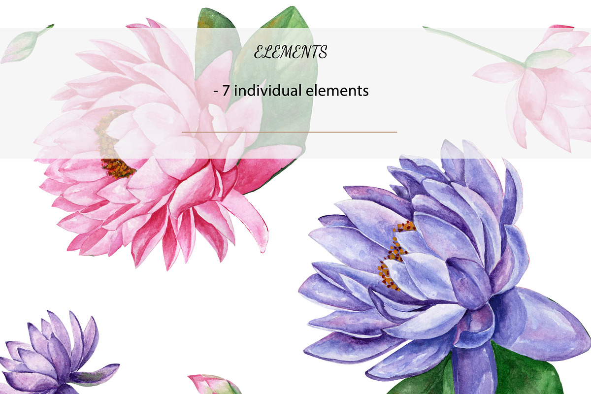 Watercolor Water Lily, an Object Graphic by YuMyart (Photo 4 of 5)