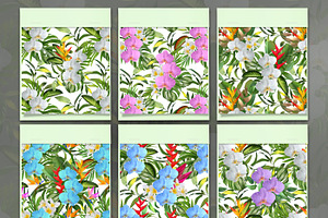 Tropical Orchids Flower Set